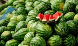 吃瓜网红有哪些名字,揭秘吃瓜网红的别样人生