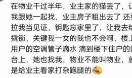 吃瓜唠嗑的群wx免费,揭秘微信群免费娱乐新潮流